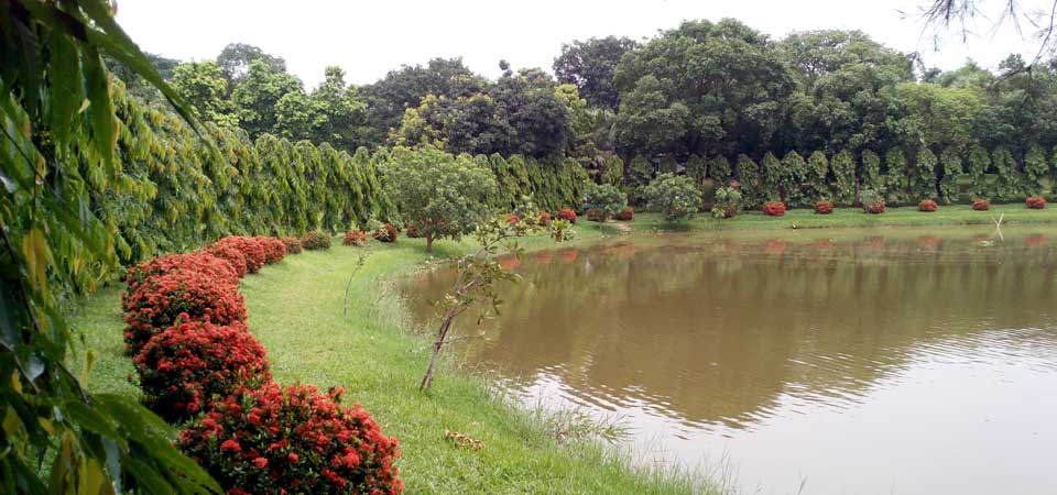 Zinda Park Lake