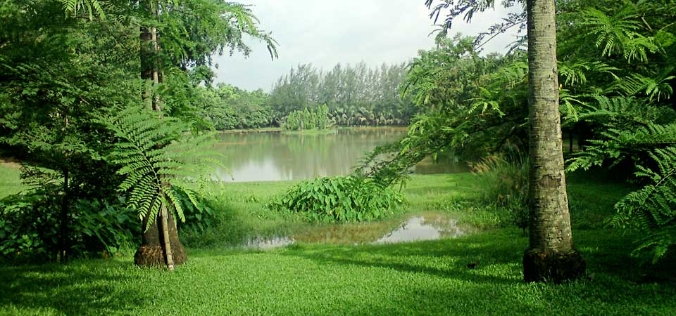 Zinda Park Lake Side