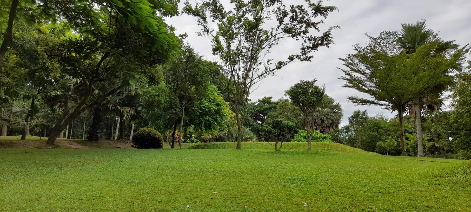 Landscape