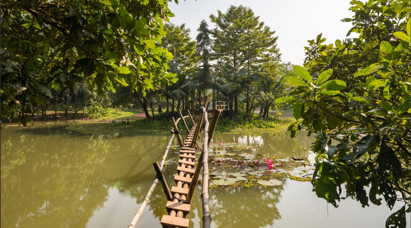 Bamboo Sakoo